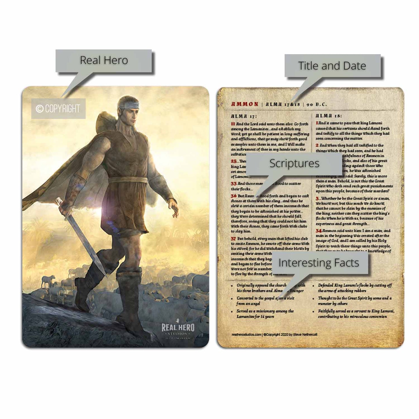 Ammon | Card