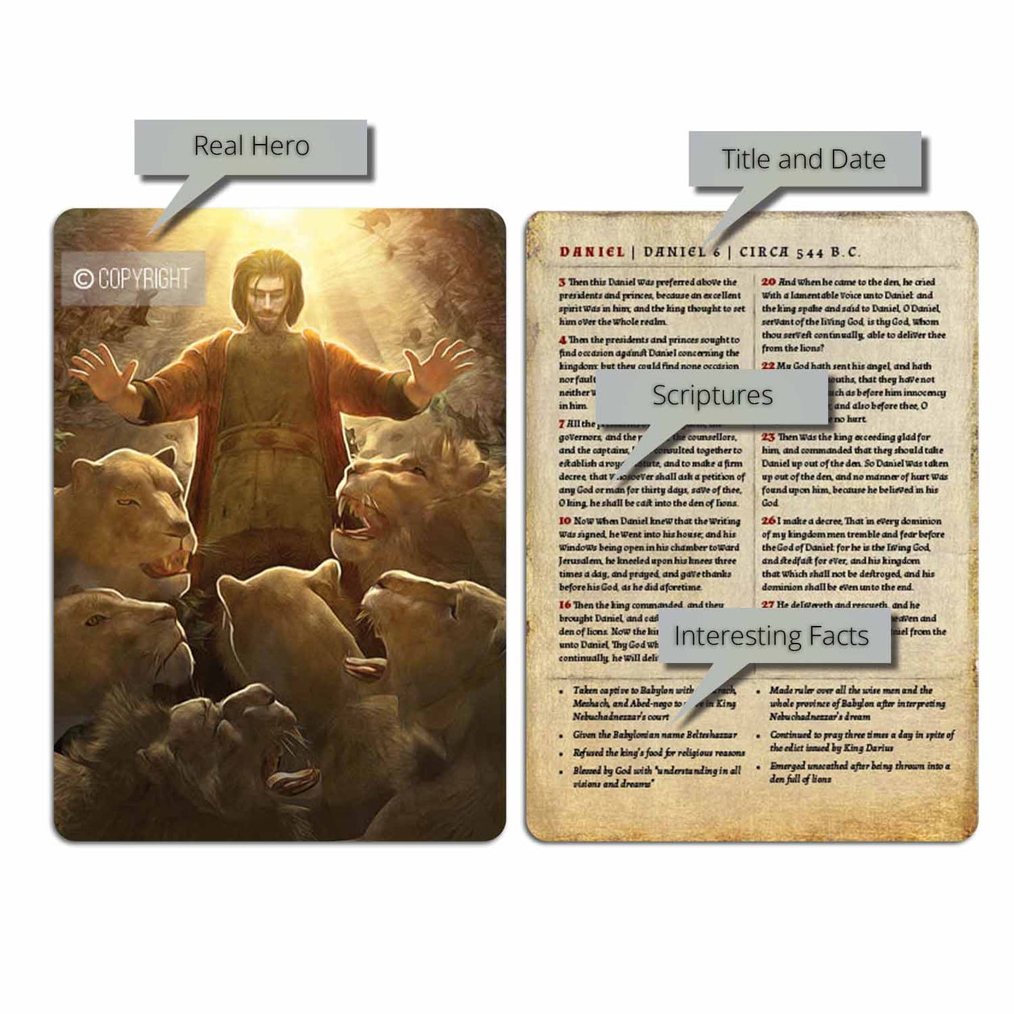 Daniel | Card