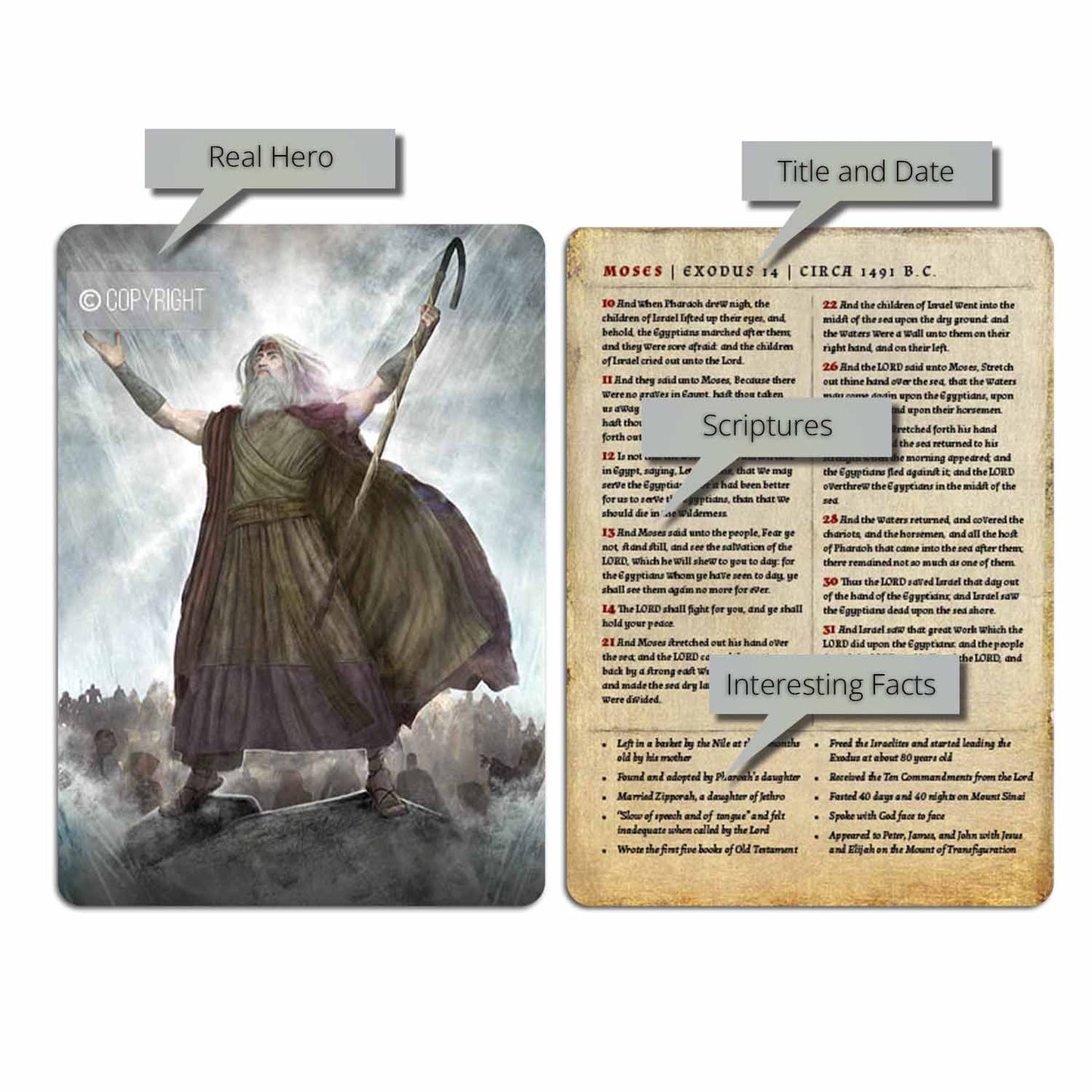 Moses | Card
