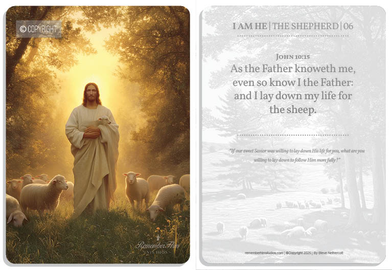 2025 | The Shepherd | Catch-Up
