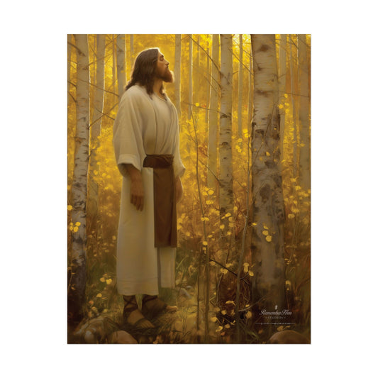 I am He | The Creator | 11