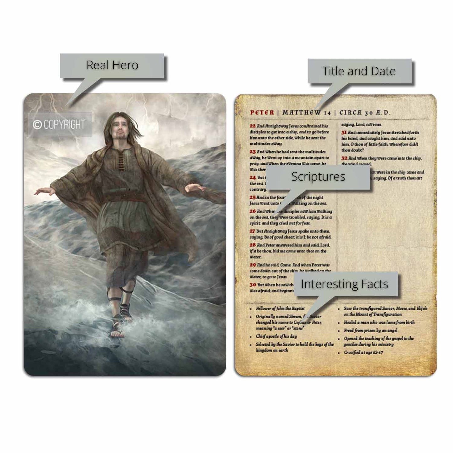 Peter | Card