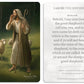 2025 | The Shepherd | Catch-Up